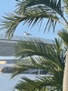 resIMG_20210721_191142_64860190341_666AC83C-C61A-47EB-899F-5361517B13CC_fullsizerender.jpg